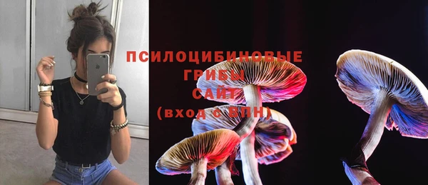 каннабис Заволжск