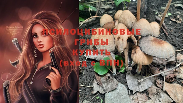 хмурый Заволжье