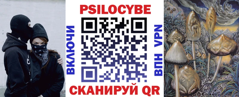 Купить где  Богородицк  Псилоцибиновые грибы MAGIC MUSHROOMS 